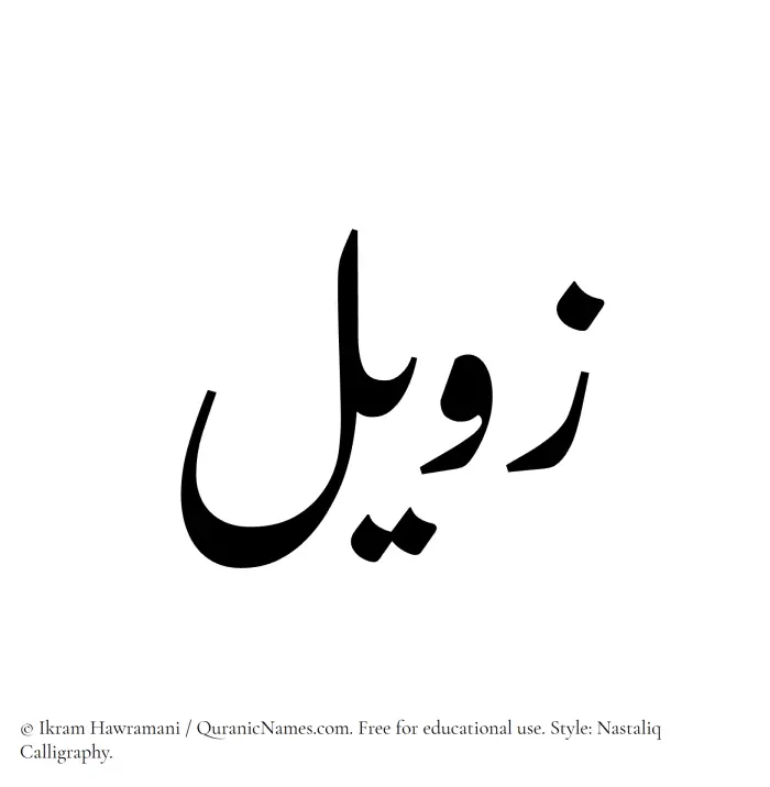 The Muslim name word Zaweel written in Nastaliq calligraphic script