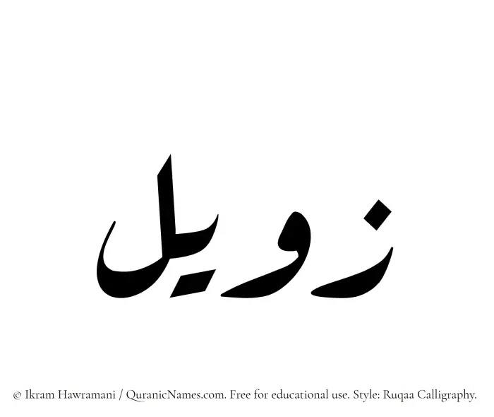 The Muslim name Zaweel written in Ruqaa calligraphic script