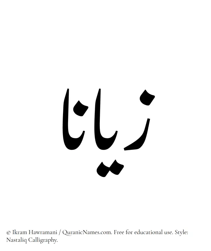 The Muslim name word Zayanaa written in Nastaliq calligraphic script