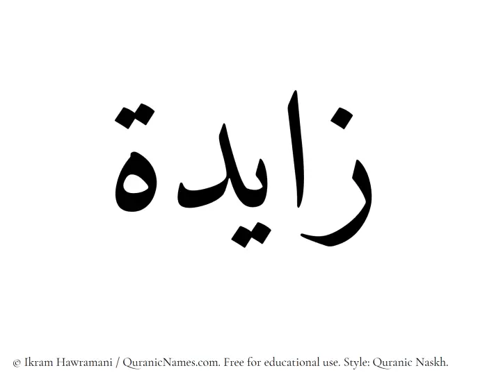 The Muslim name Zayda written in Quranic naskh script