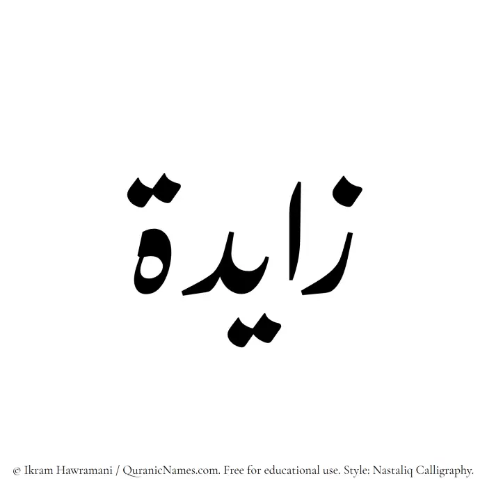 The Muslim name word Zayda written in Nastaliq calligraphic script