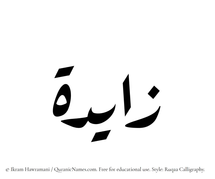The Muslim name Zayda written in Ruqaa calligraphic script