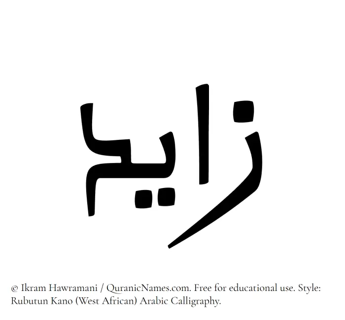 The Muslim name Zayed written in Rubutun Kano calligraphic script