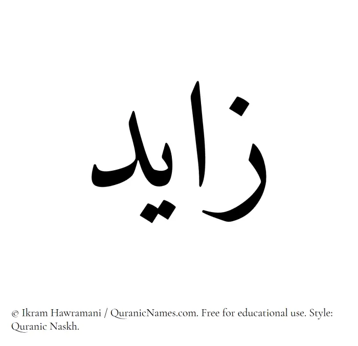 The Muslim name Zayed written in Quranic naskh script