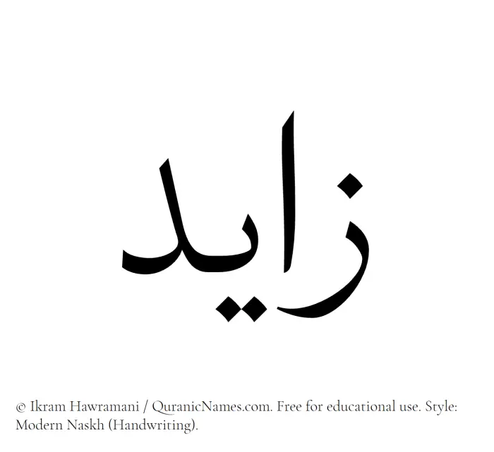 The Muslim name Zayed written in naskh script