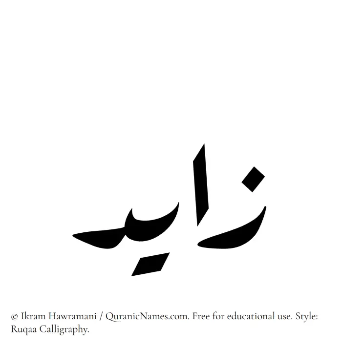 The Muslim name Zayed written in Ruqaa calligraphic script