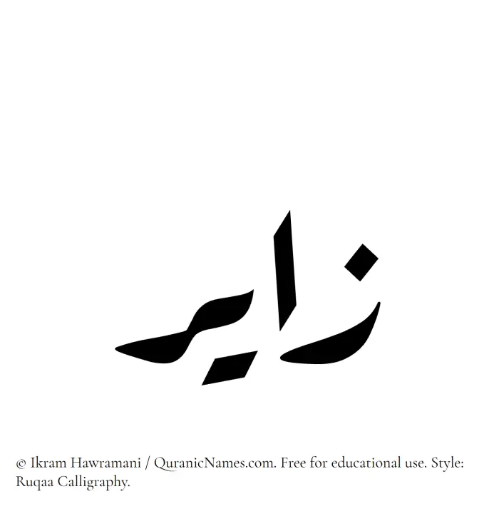 The Muslim name Zayir written in Ruqaa calligraphic script