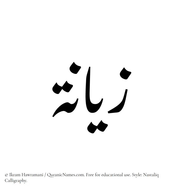 The Muslim name word Zeeana written in Nastaliq calligraphic script