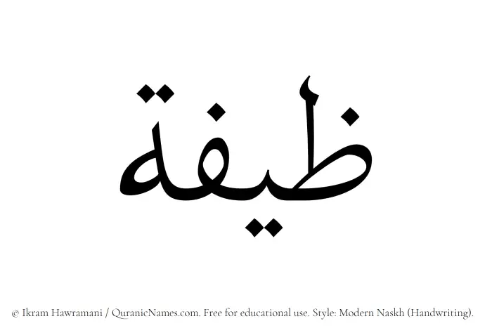 The Muslim name Zeifa written in naskh script