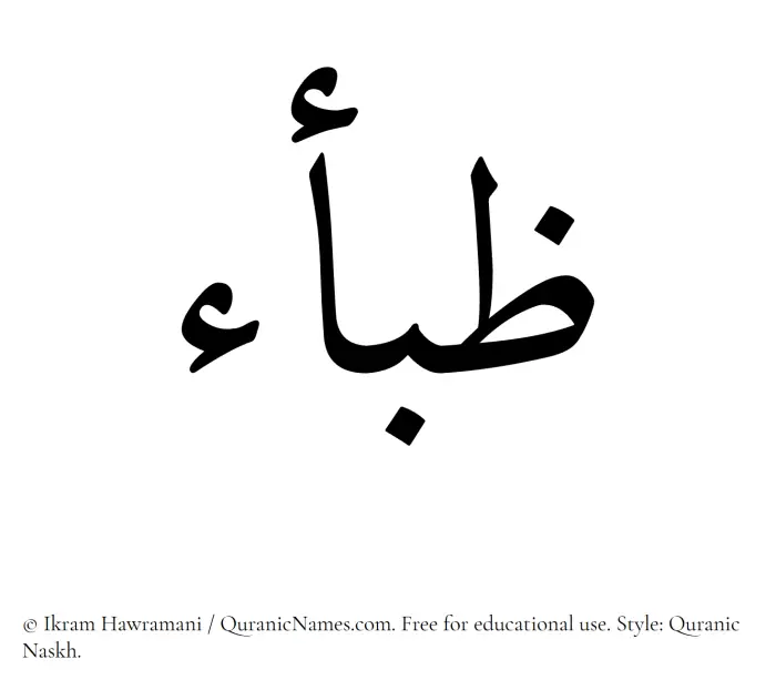 The Muslim name Zibaa written in Quranic naskh script