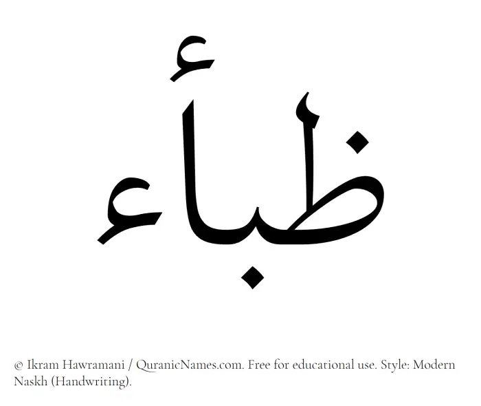 The Muslim name Zibaa written in naskh script