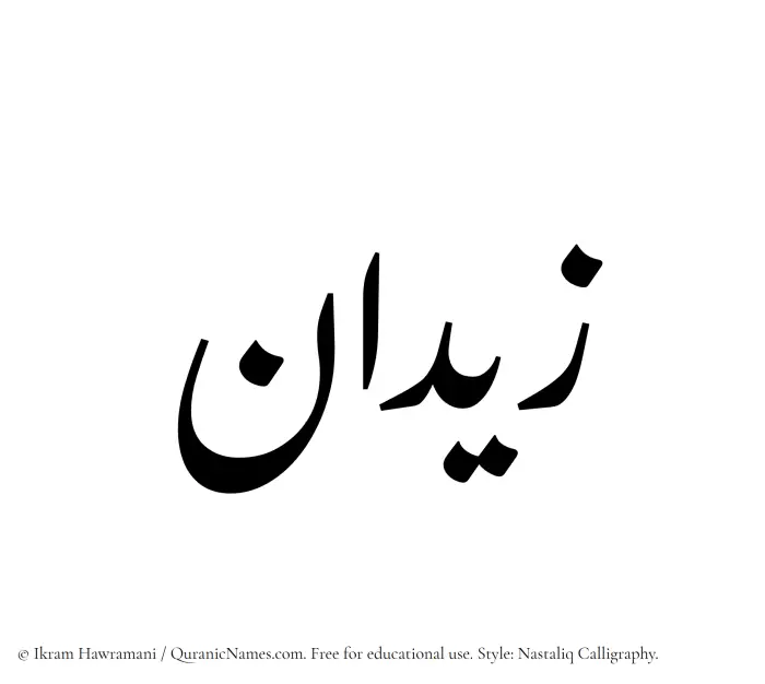 The Muslim name word Zidan written in Nastaliq calligraphic script