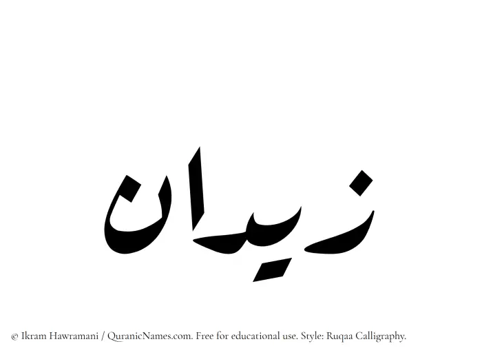 The Muslim name Zidan written in Ruqaa calligraphic script
