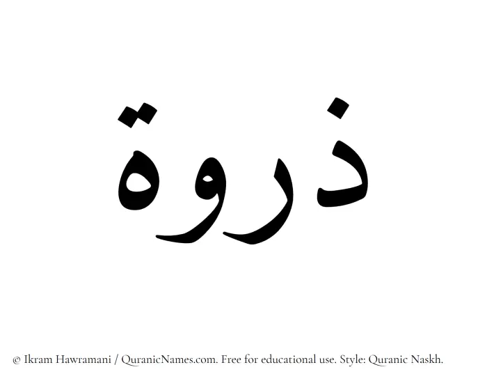 The Muslim name Zirwa written in Quranic naskh script