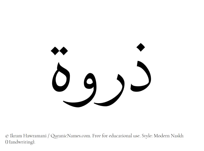 The Muslim name Zirwa written in naskh script