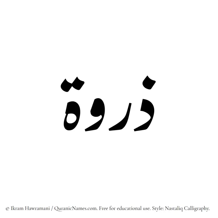 The Muslim name word Zirwa written in Nastaliq calligraphic script