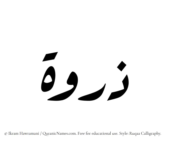 The Muslim name Zirwa written in Ruqaa calligraphic script