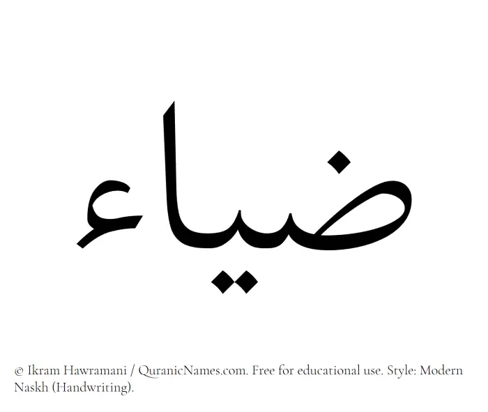 The Muslim name Ziya written in naskh script