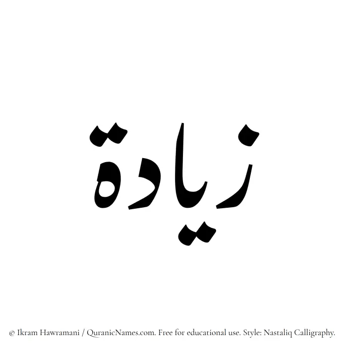 The Muslim name word Ziyada written in Nastaliq calligraphic script