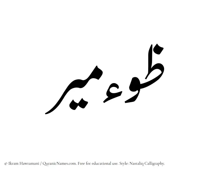 The Muslim name word Zoomeer written in Nastaliq calligraphic script
