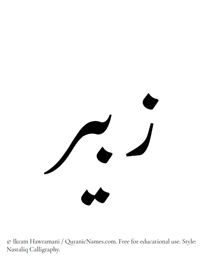 The Muslim name word Zubair written in Nastaliq calligraphic script