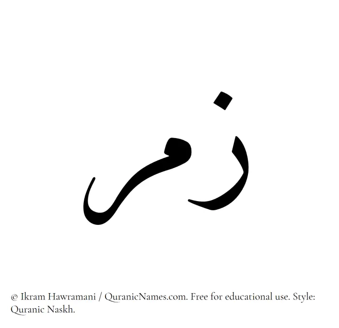 The Muslim name Zumar written in Quranic naskh script