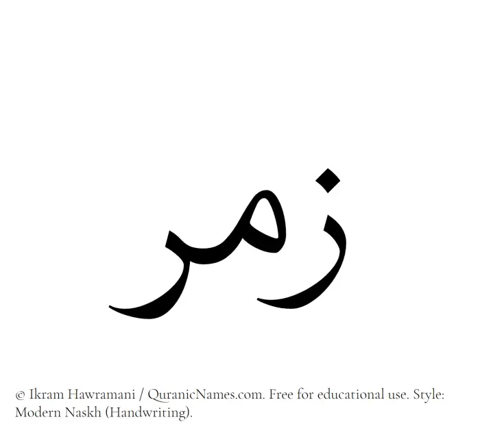 The Muslim name Zumar written in naskh script