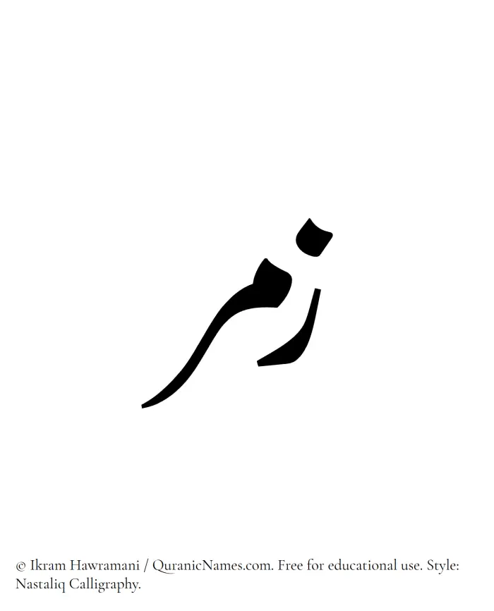 The Muslim name word Zumar written in Nastaliq calligraphic script