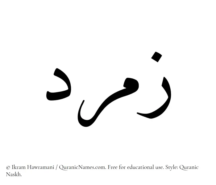 The Muslim name Zumurrud written in Quranic naskh script