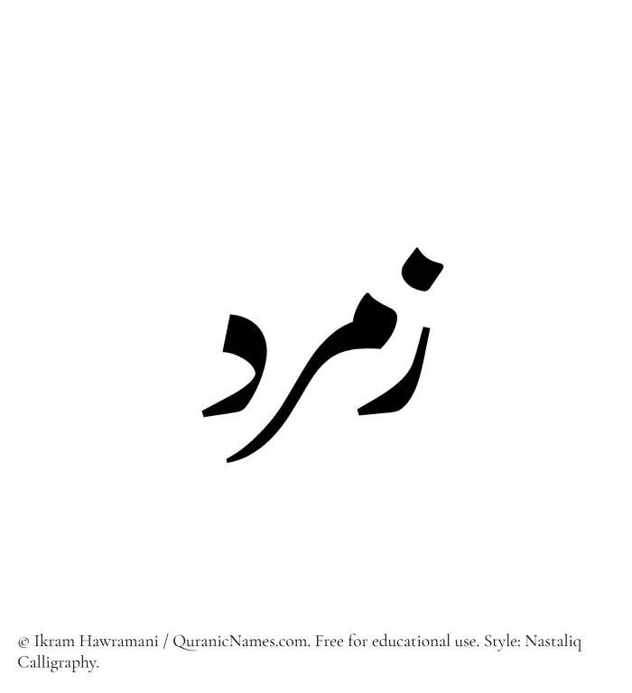 The Muslim name word Zumurrud written in Nastaliq calligraphic script