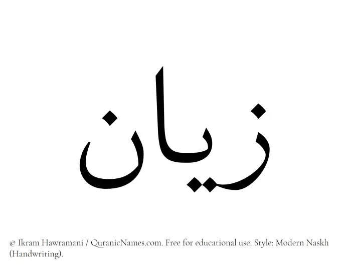 The Muslim name Zyan written in naskh script