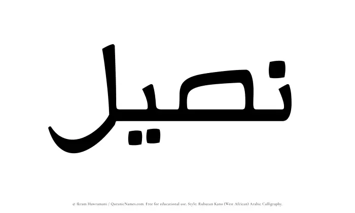 The name Naseel written in Rubutun Kano