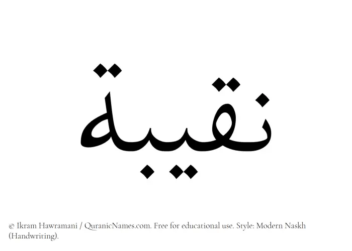 The name Naqeeba written in naskh