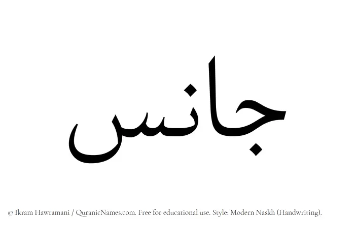 The name Janis written in naskh