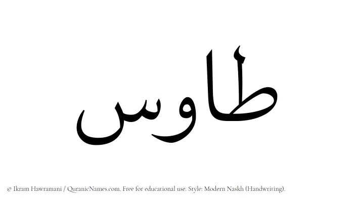 The name Tawus written in naskh