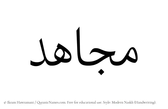 The name Mujahid written in naskh