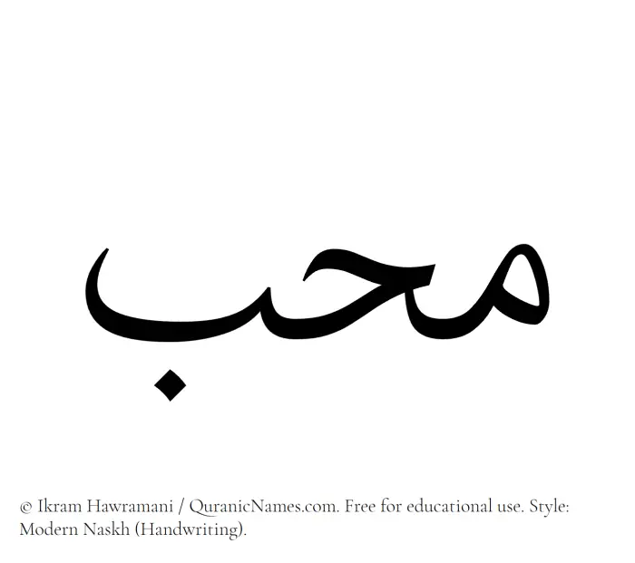 The name Muhib written in naskh