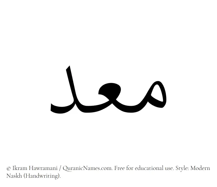 The name Muidd written in naskh