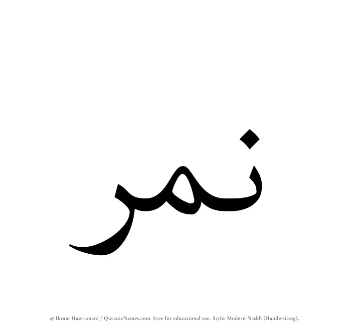 The name Namir written in naskh