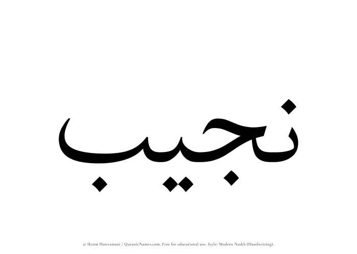 The name Najib written in naskh