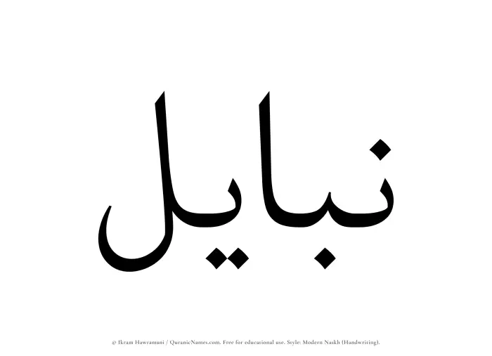 The name Nabayil written in naskh