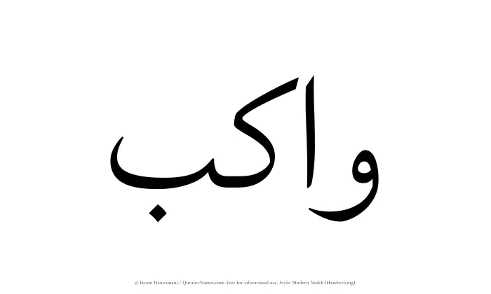 The name Wakib written in naskh