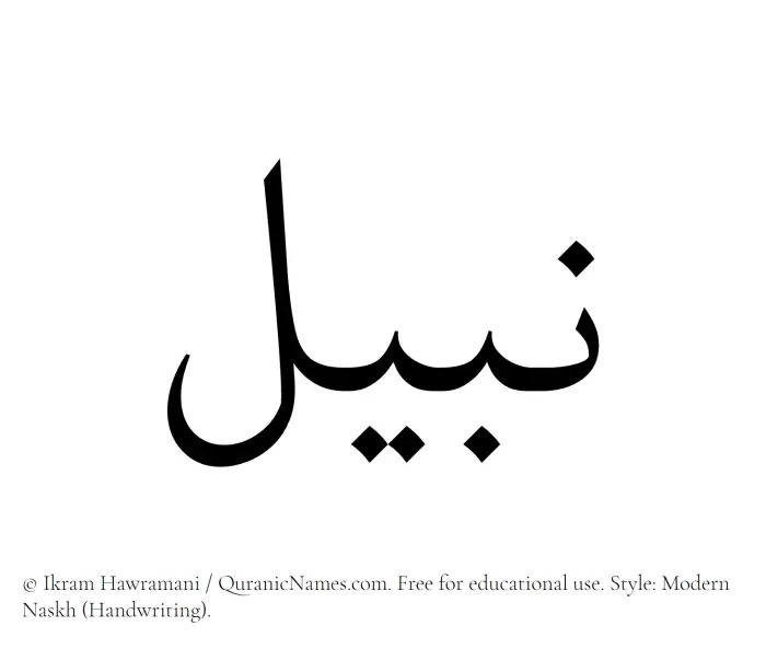 The name Nabeel written in naskh