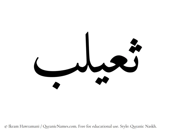 The name Thuailib written in Quranic naskh
