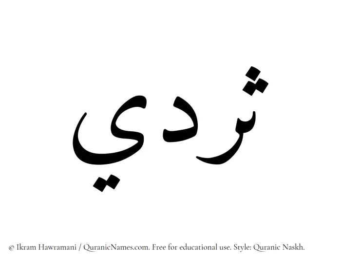 The name Sardee written in Quranic naskh