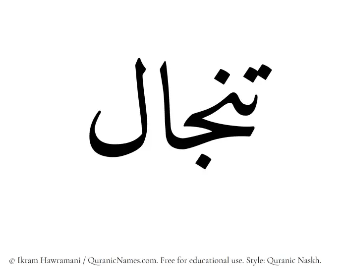 The name Tinjal written in Quranic naskh