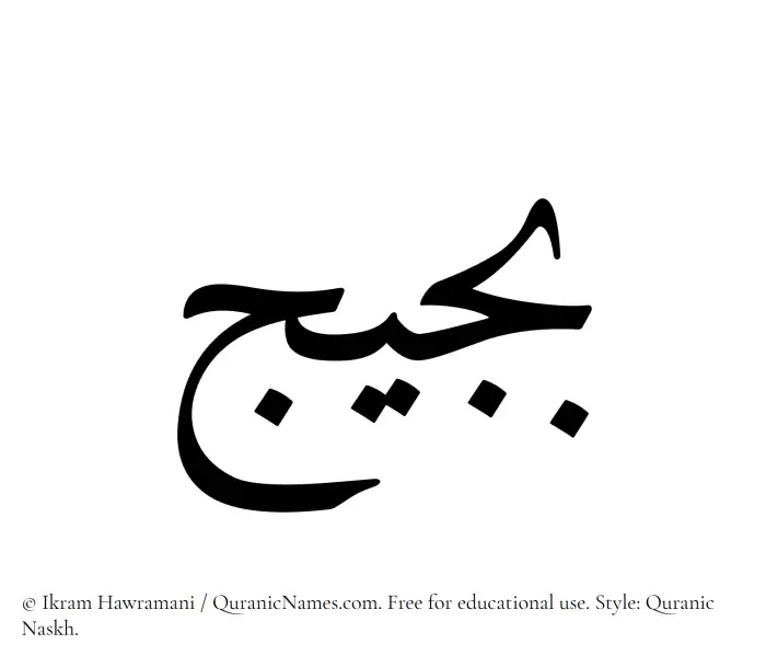 The name Bujaij written in Quranic naskh