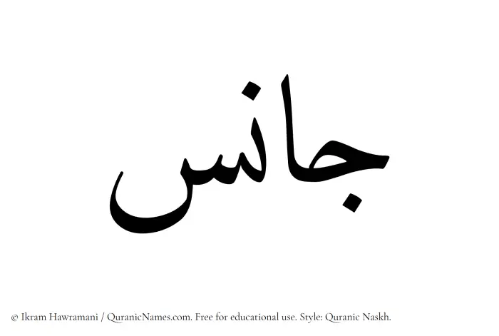 The name Janis written in Quranic naskh