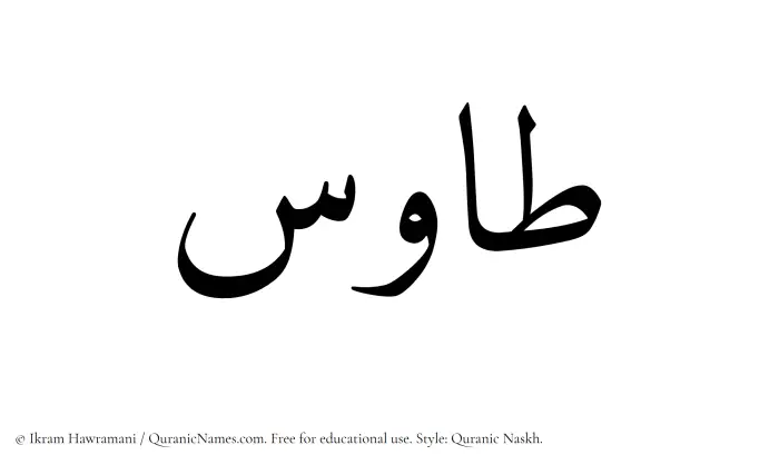 The name Tawus written in Quranic naskh