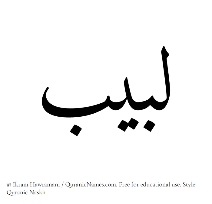 The name Labeeb written in Quranic naskh